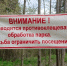 Первый этап обработки зелёных зон и кладбищ Ижевска от клещей и грызунов выполнен - Сусанин