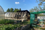 Предбанник сгорел на СНТ в Ижевске из-за короткого замыкания