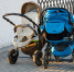Пункт проката товаров для новорождённых появился в Индустриальном районе Ижевска - Сусанин