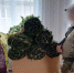 Боец из Удмуртии отвезет сослуживцам маскировочные сети и детские письма - ИА Удмуртия
