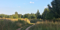 лес дорога поле погода - ИА Удмуртия