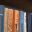 книги полка книжная полка библиотека.jpg - ИА Удмуртия