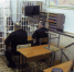 С осужденными лечебно-исправительного учреждения №4 проведено занятие в рамках курсов подготовки к освобождению - УФСИН России по УР