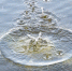 Вода - ИА Удмуртия