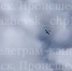 Власти не подтвердили полет БПЛА над Удмуртией - Udm-info.Ru