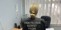 В Ижевске возбуждено уголовное дело в отношении директора коммерческой организации, подозреваемого в мошенничестве - Следственный комитет