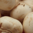 В пять раз вырос экспорт шампиньонной грибницы из Удмуртии в Казахстан - Сусанин
