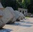 В Удмуртии перезахоронят останки красноармейца, которого обнаружили в братской могиле в Тверской области - Сусанин