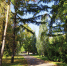 В поисках бабьего лета: какой будет погода в сентябре 2025 года в Удмуртии - Udm-info.Ru