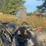 19-летний водитель погиб при ДТП в Алнашском районе Удмуртии - Udm-info.Ru