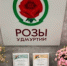 Удмуртские цветоводы покорили международную выставку - Минсельхоз УР