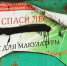 В Удмуртии снова начнут принимать у жителей макулатуру - Udm-info.Ru