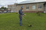 УФСИН России по Удмуртской Республике участвует во Всероссийском экологическом субботнике «Зеленая Россия»