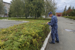 УФСИН России по Удмуртской Республике участвует во Всероссийском экологическом субботнике «Зеленая Россия»