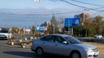 В Ижевске 6 октября полностью откроют движение на улице Удмуртской