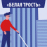 Месячник «Белая трость» в Национальной библиотеке - Национальная библиотека Удмуртии