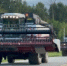 В Удмуртии завершилась уборка зерновых - Минсельхоз УР