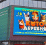 Это же не игрушки: жителей Ижевска просят не посещать контактные зоопарки - Udm-info.Ru