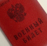 В Ижевске поставлены на воинский учет 27 новых граждан России - Сусанин