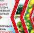 gu_0sjq0imk.jpg - Институт развития образования