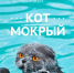 кот.jpg - ИА Удмуртия