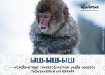 Популярные материалы об удмуртской культуре и языке