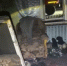 Пожар в Сарапульском районе - ИА Удмуртия