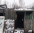 Почти 2000 цыплят погибли на пожаре в Удмуртии - Комсомольская Правда
