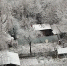Погода в Ижевске на 31 декабря: небольшой снег и до -9°С - Комсомольская Правда