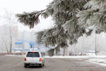 Госавтоинспекция усилила контроль за пьяными водителями в новогодние праздники в Ижевске