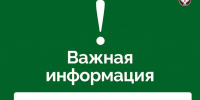 Отбой угрозы атаки БПЛА - ИА Удмуртия