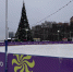 img - ЛДПР