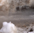 Излив воды - ИА Удмуртия