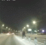 В Ижевске сотрудники ГАИ в ходе погони задержали 16-летнего юношу без прав - Сусанин