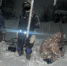 В Башкирии спасли рыбака из Ижевска, которому стало плохо посреди Кармановского водохранилища - Сусанин