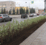 ​Зеленый каркас города станет стратегическим направлением в развитии Ижевска - Информационно-аналитическое управление г. Ижевск