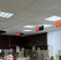 В Удмуртии запустили сервис подтверждения статуса участника СВО по QR-коду - Сусанин