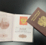 Очередной канал незаконной миграции пресекли в Удмуртии - Сусанин