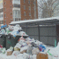 С начала года в Ижевске выявили семь управляек, несвоевременно вывозивших мусор - Сусанин