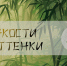 Мастер-класс по китайской живописи «Тонкости и оттенки» - Национальная библиотека Удмуртии