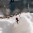 Погода - ИА Удмуртия