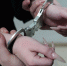 Подростка задержали за покупку наркотиков в Ижевске - Комсомольская Правда