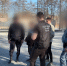 В Ижевске возбуждено уголовное дело об осквернении Монумента боевой и трудовой славы - Следственный комитет
