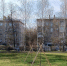 В Ижевске разработают правила для жителей, желающих посадить деревья во дворе - Сусанин