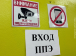 Школьников не будут досматривать перед сдачей ЕГЭ в России