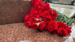 Гвоздики