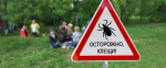 клещи