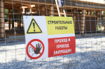 Глава Ижевска Дмитрий Чистяков: «Центральную аллею Березовой рощи откроем к 1 сентября»
