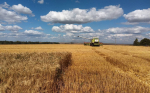 20 тысяч санкций и ноль эффекта: отечественный АПК стал главным кормильцем мира